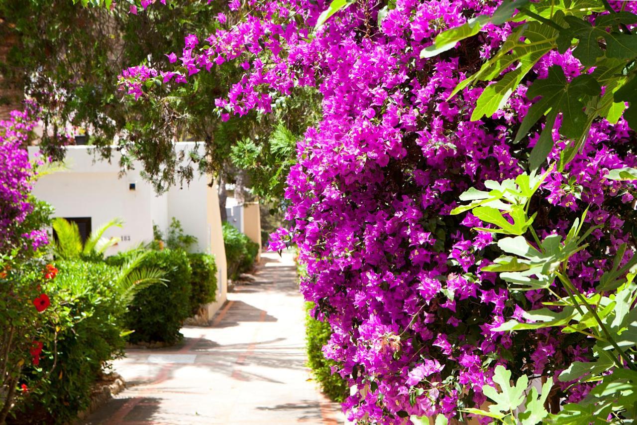 Apartamentos Club Cala Azul Sant Carles de Peralta Luaran gambar